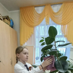 Январь. Ответственная по цветам в классе.