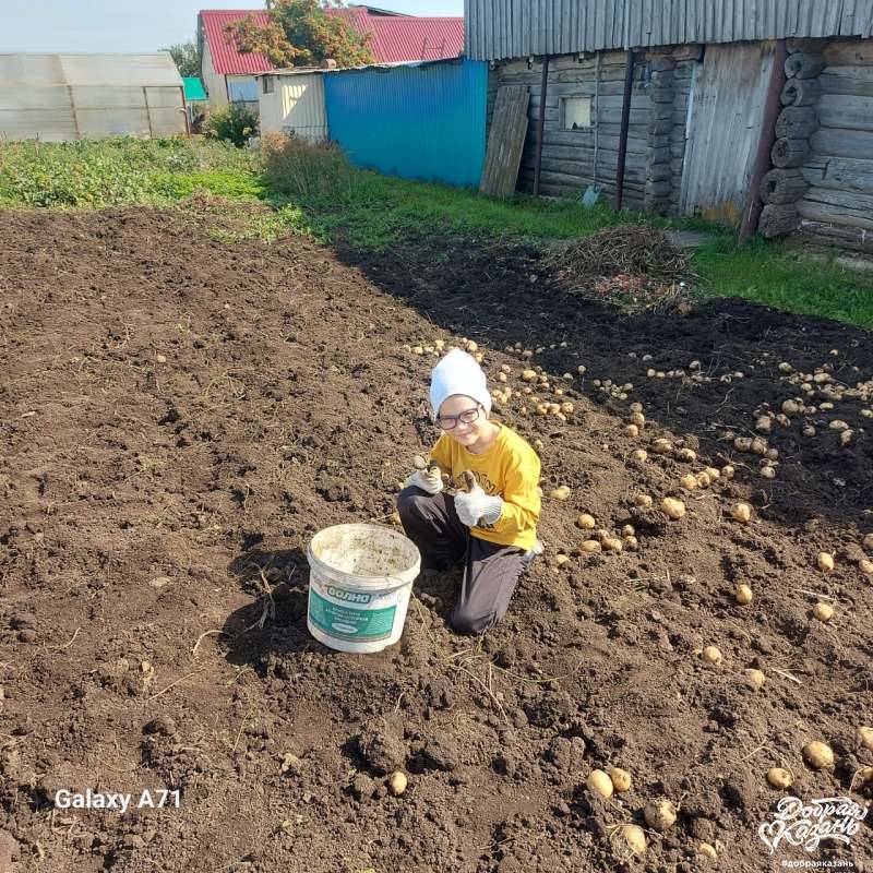 Помощь родителям