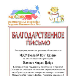 Участвовал в благотворительной акции. Принес корм кошечкам.