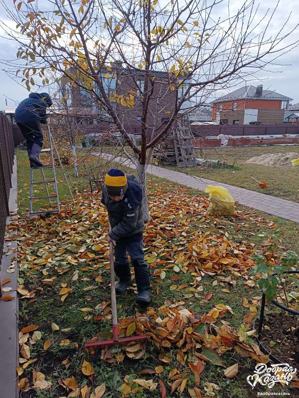 Помощь в уборке листьев на даче родителям.