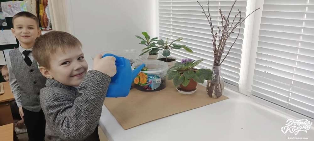 В школе посадили цветочки на клумбу. Я их поливаю. Мы с одноклассниками наблюдаем за их ростом.