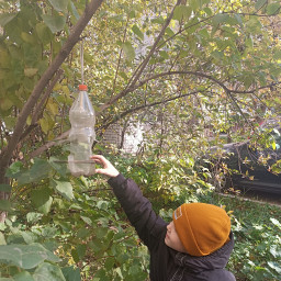 Покормил птичек. Они нуждаются в нашей заботе.