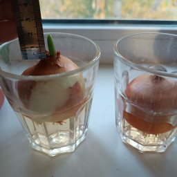 Провожу эксперименты с братом.