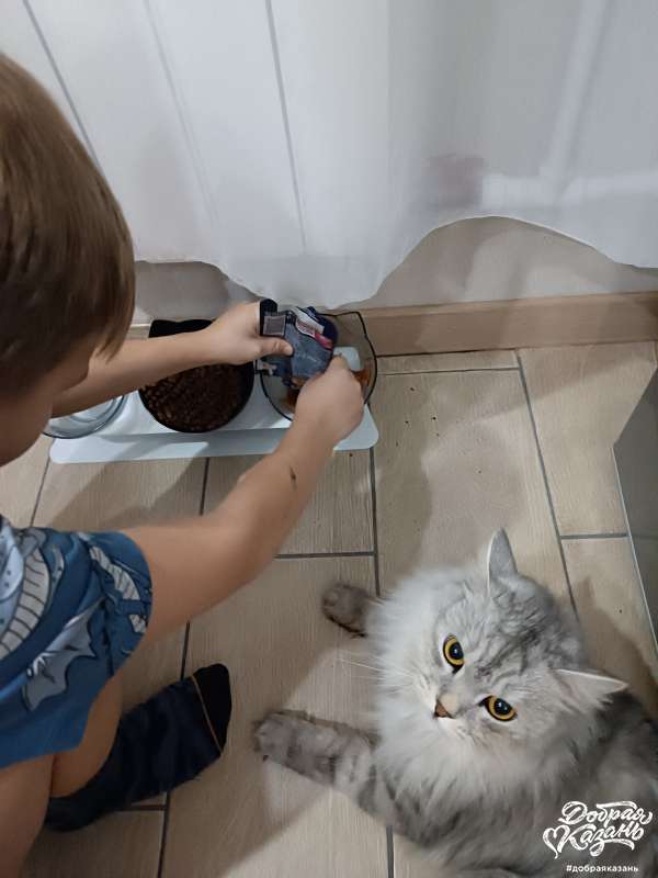 Кормлю котика!