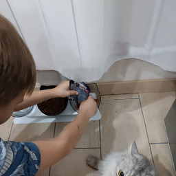 Кормлю котика!