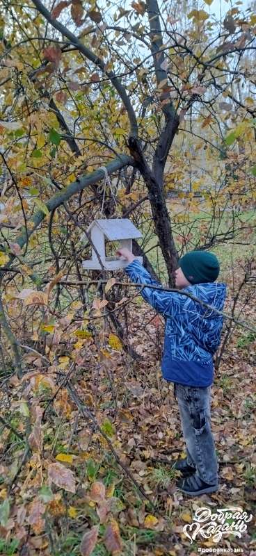 Покормил птиц в парке