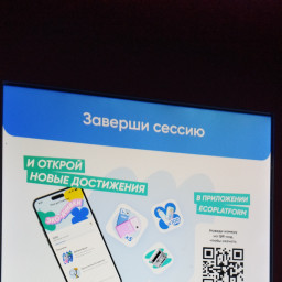 Сдали пластиковые бутылки на переработку