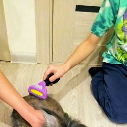 Вычёсывали кролика