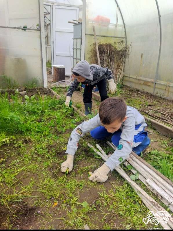 Работа в огороде