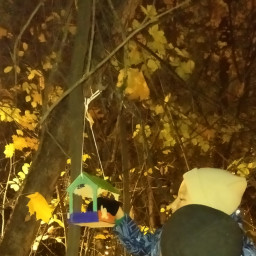 Повесили кормушку в парке