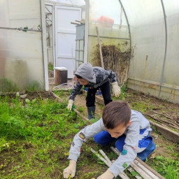 Работа в огороде