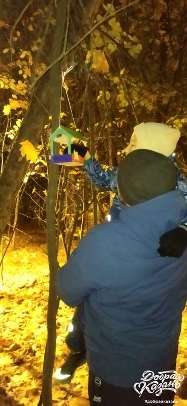Повесили кормушку в парке