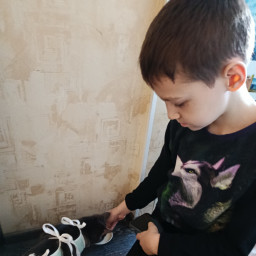 Покормил кошку