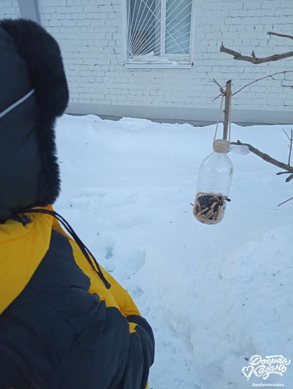 Кормил птиц