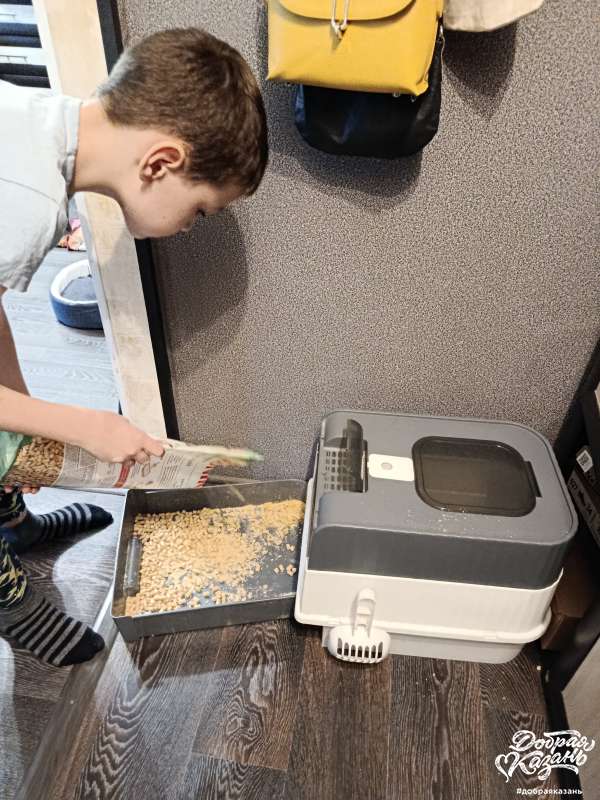 Убрал за кошкой лоток