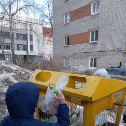 сдал пластик