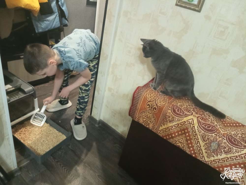 Убрал за кошкой лоток