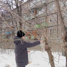 Кормил птиц