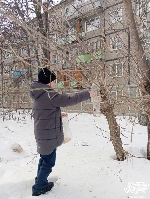 Кормил птиц