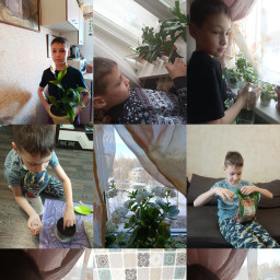 помогаю бабулям ухаживать за цветами