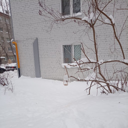 Кормил птиц