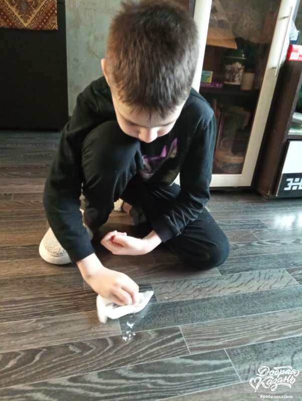 протирал за кошкой