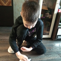 протирал за кошкой