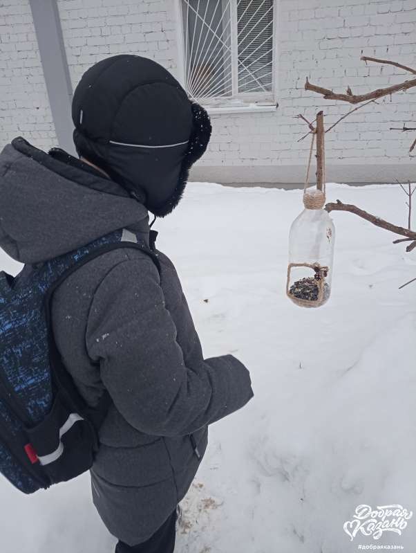 Кормил птиц