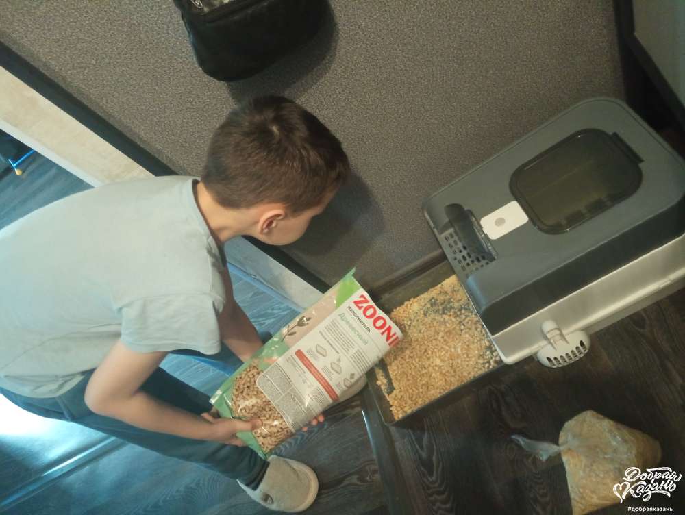 Убрал за кошкой лоток