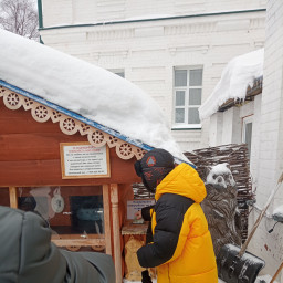 Помощь кошкам