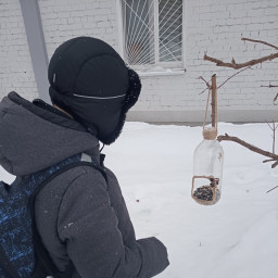 Кормил птиц