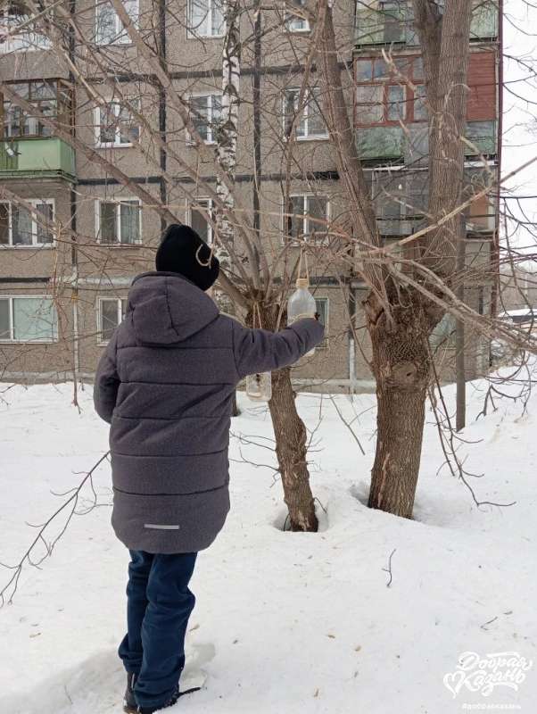 кормил птиц