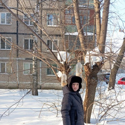 Кормил птиц