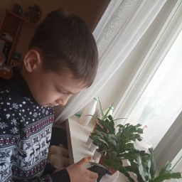 Ухаживал за декабристом