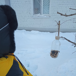 Кормил птиц