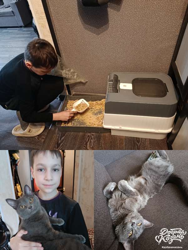 Убрал за кошкой лоток