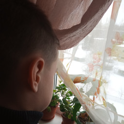 Поливал цветы