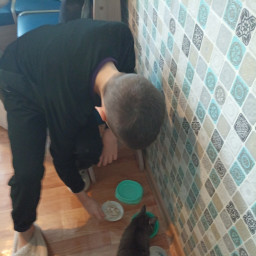 кормил свою кошку