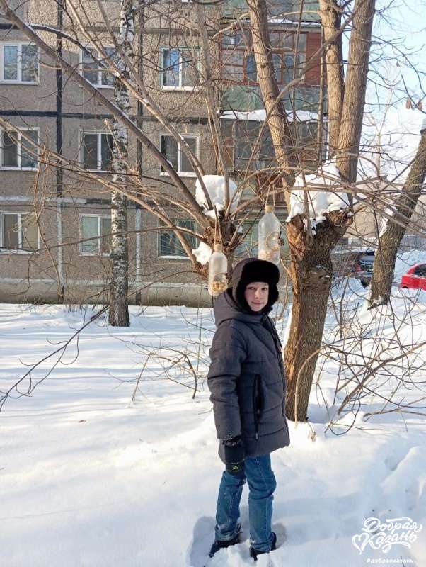 Кормил птиц