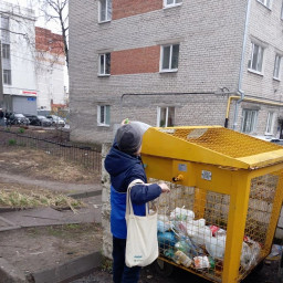 сдал пластик