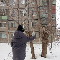 кормил птиц