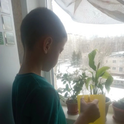 Поливал цветы