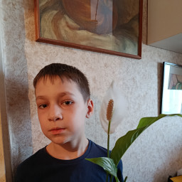 ухаживаю за цветами