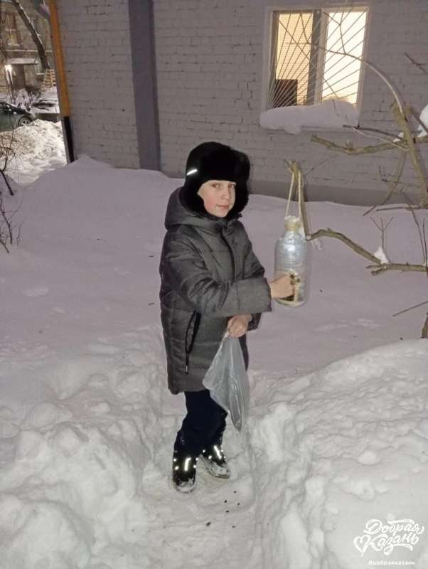 Кормил птиц