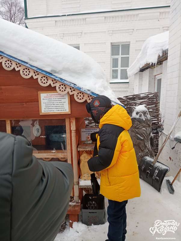 Помощь кошкам