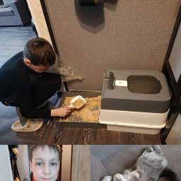 Убрал за кошкой лоток