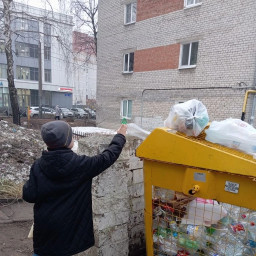 сдал пластик