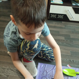 Посадил бархатцы