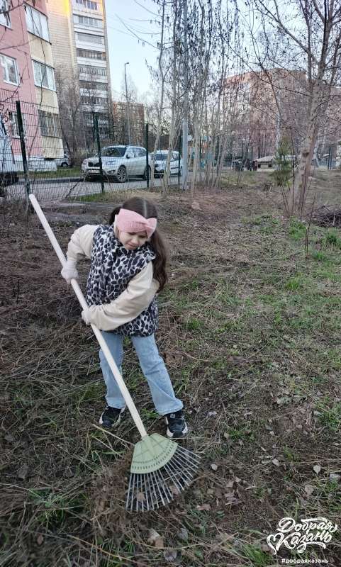 Очистка придомовой территории