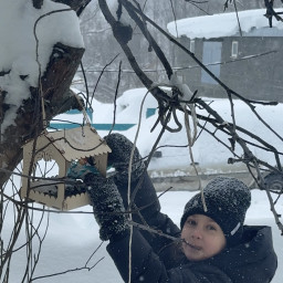 Наполнила кормушку семечками для птиц.